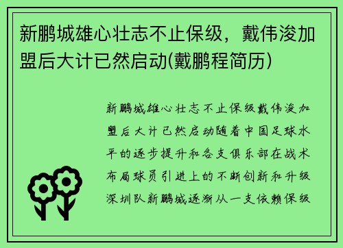 新鹏城雄心壮志不止保级，戴伟浚加盟后大计已然启动(戴鹏程简历)