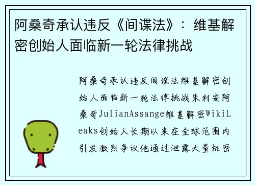 阿桑奇承认违反《间谍法》：维基解密创始人面临新一轮法律挑战