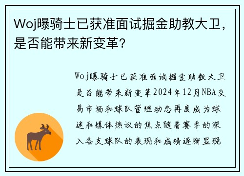 Woj曝骑士已获准面试掘金助教大卫，是否能带来新变革？